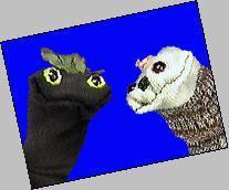 Avatar van Sifl