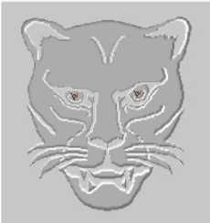Avatar van Leopard