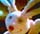Avatar van optie_x