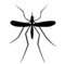 Avatar van Mr. Mosquito