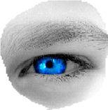 Avatar van blueeyes_jochie