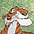 Avatar van Shere Khan