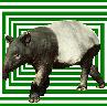 Avatar van tapir